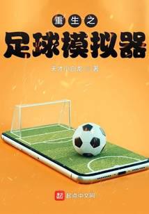 Rebirth Football Simulator